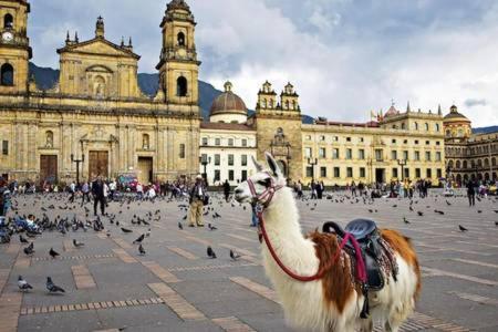 Apartasuites Bogota Romannoti المظهر الخارجي الصورة